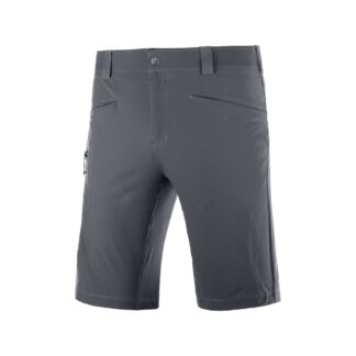 Salomon - Wayfarer Herre Shorts (46) Small Grå - Salomon